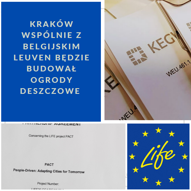 Krakowian i Belgów połączą ogrody deszczowe. Umowa z Leuven w ramach projektu PACT została podpisana