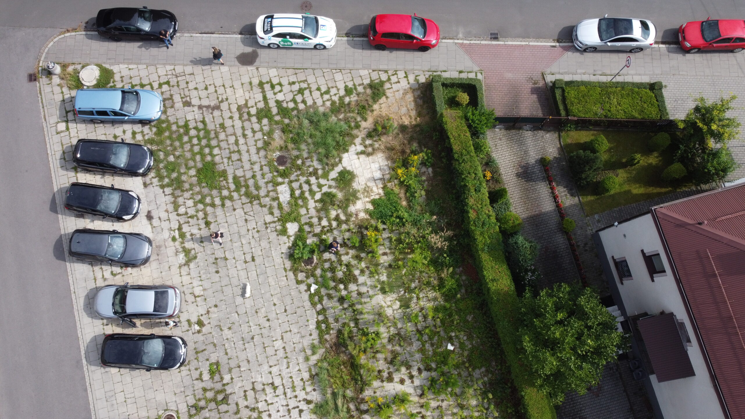 Przygotuj Siebie i Kraków na zmiany klimatyczne, czyli II wieńczące spotkanie z mieszkańcami pracującymi nad rewitalizacją skweru przy Ehrenberga