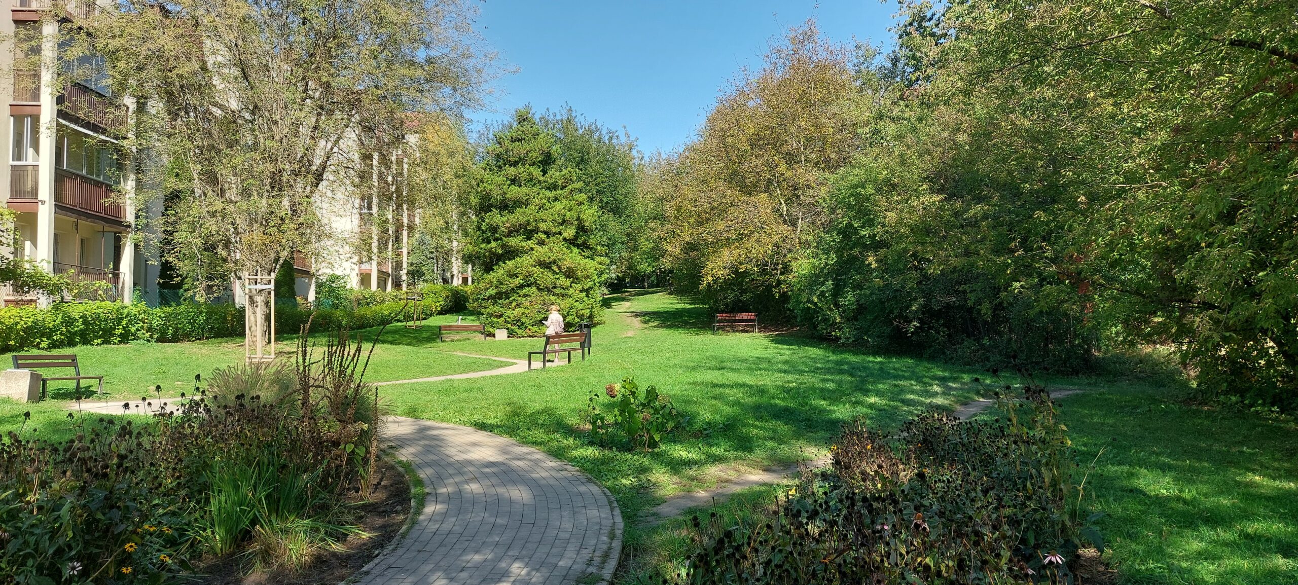 Park Kuźnicy Kołłątajowskiej – nowa jakość zieleni miejskiej przy ul. Banacha
