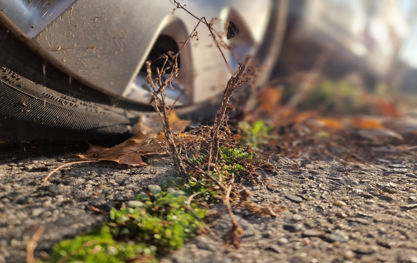 Plac Budowy przekazany. Zaniedbany skwer przy Ehrenberga będzie zachwycać