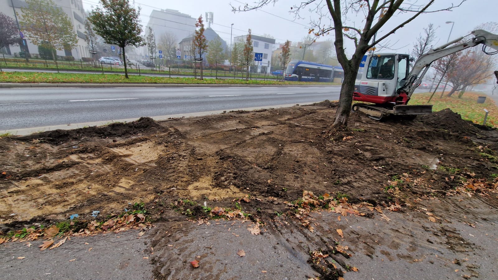 Kolejny etap prac przy ogrodzie deszczowym na Dębnikach