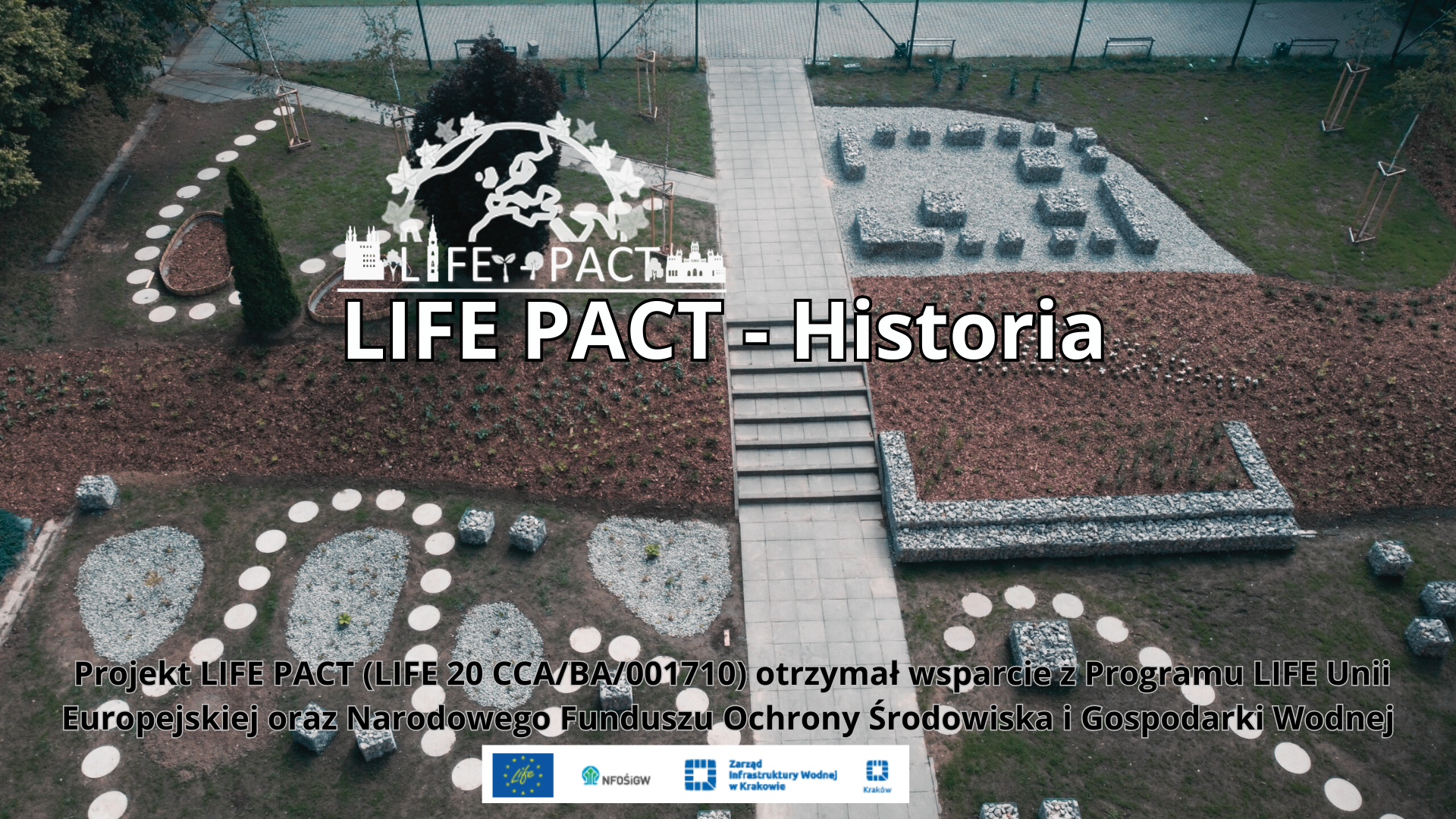 Film z opowiadaniem historii LIFE PACT