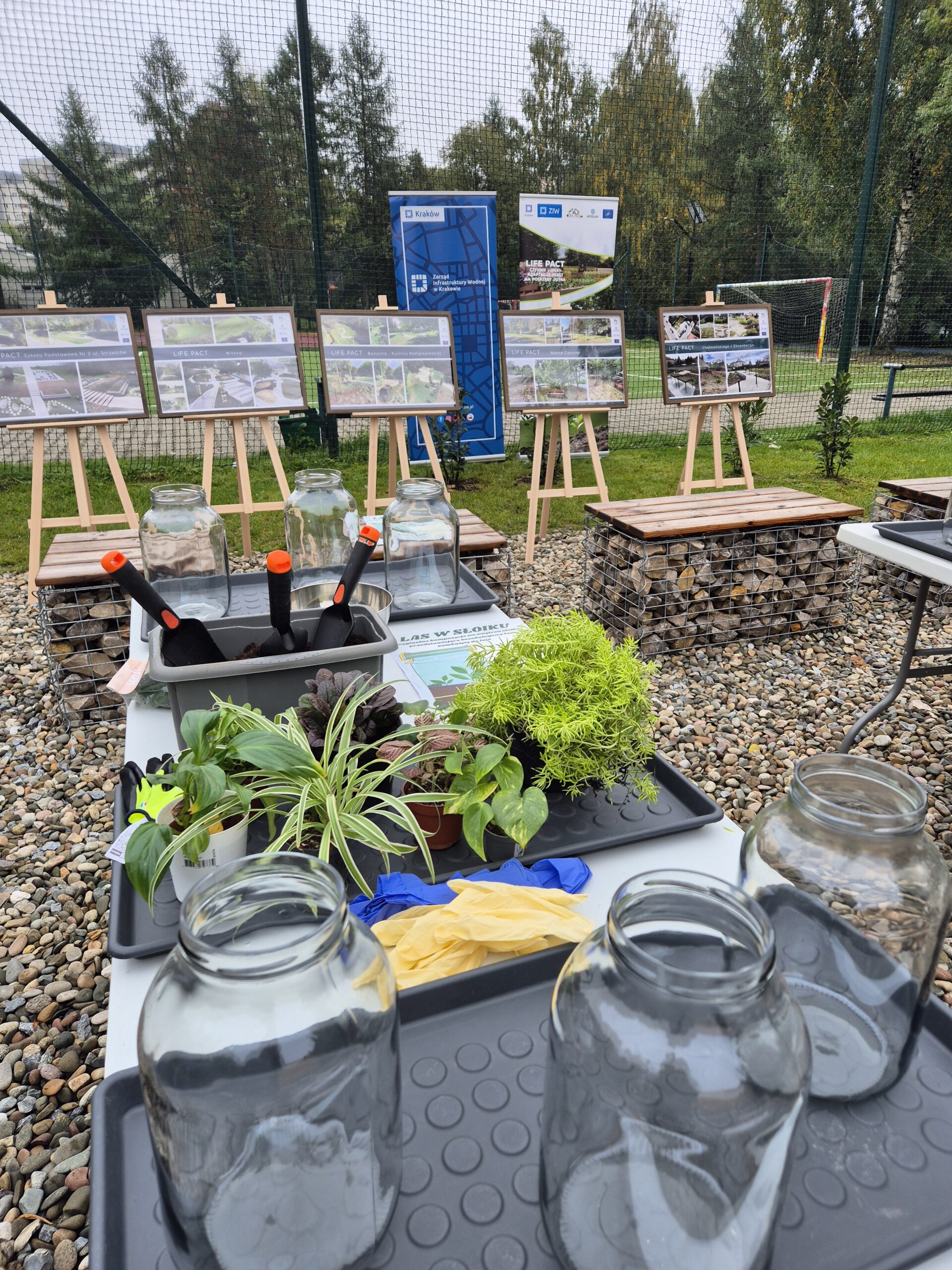 Warsztaty „Las w słoiku” w Szkole Podstawowej nr 2 w Krakowie – w trosce o planetę – edukacja ekologiczna po realizacji projektu LIFE PACT